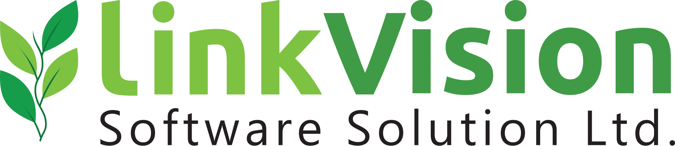 LinkVision Software Solution